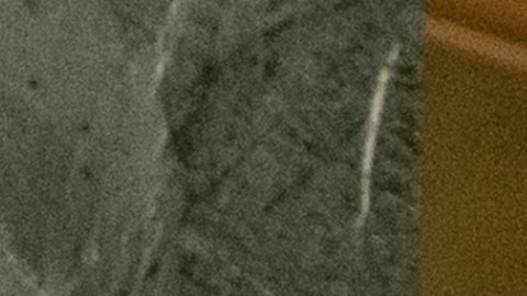 Mario Búcaro fungió como director ejecutivo del Miss Universo.