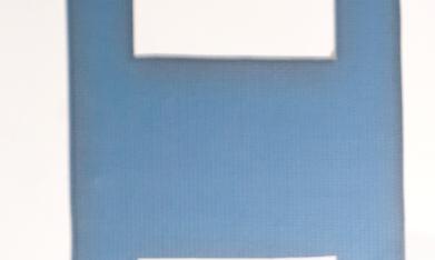 Marjorie de Sousa presume anillo