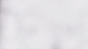 Martin Scorsesee tenía una gran ammistad con Rob Reiner.