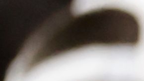 DK Metcalf, de los Pittsburgh Steelers, se sienta en el banquillo.