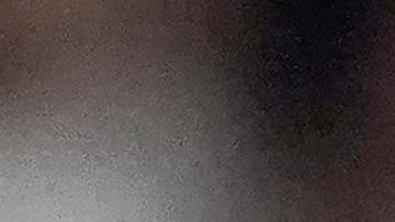 El ex mediocampista del Toronto FC, Michael Bradley.