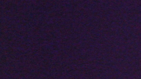 Billy Ray Cyrus y Miley Cyrus trabajaron juntos durante años.