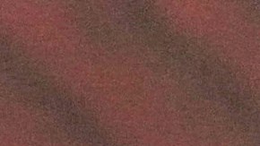 Miss Haití habló sobre las acusaciones en contra del Miss Universo.