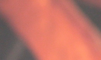 Nicola Porcella, actor peruano y exparticipante del reality show La Casa de los Famosos México en su primera temporada.