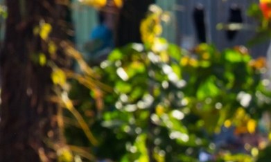 Organizaciones humanitarias alertaron que la falta de financiamiento comprometerá peligrosamente la atención médica en los países en crisis.