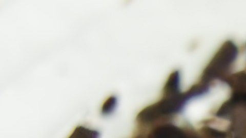 El retiro incluye versiones de 20 cm y 15 cm con decoraciones de rosas o confeti. No se han reportado casos de enfermedad, pero la medida es de carácter preventivo.