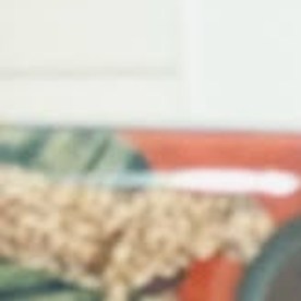 La falsa vida de 'influencer' en Nueva York: huyó de restaurantes sin pagar, la expulsaron de su apartamento y terminó en la cárcel