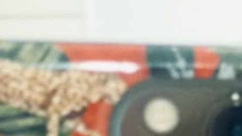 La falsa vida de 'influencer' en Nueva York: huyó de restaurantes sin pagar, la expulsaron de su apartamento y terminó en la cárcel