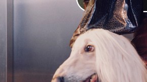 Collage oficial de Pinterest Predicts 2026 con imágenes representativas de varias tendencias del informe, como Gimme Gummy, Brooched, Vamp Romantic, Cool Blue, Fun Haus, Pen Pals, Cabbage Crush, Laced Up y NeoDeco alrededor del logotipo central.