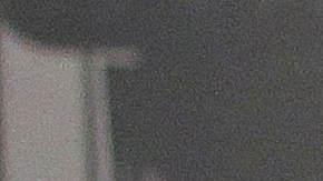 Priscilla Presley asegura que los demandantes se quiere aprovechar de ella.