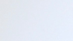 Raúl de Molina, presentador del programa El Gordo y la Flaca, que transmite la cadena Univision.