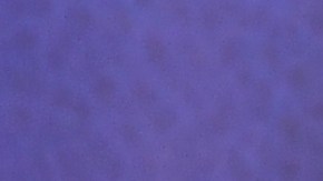 Raúl de Molina, presentador del programa de televisión El Gordo y la Flaca.