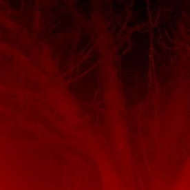 Tiroteo en la Universidad de Brown deja varias personas heridas durante exámenes finales