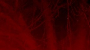 Tiroteo en la Universidad de Brown deja varias personas heridas durante exámenes finales