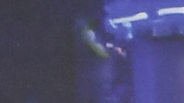 Los cuerpos de Rob Reiner y Michele Singer fueron encontrados dentro de su mansión en Los Ángeles.