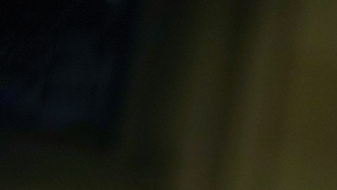 Nuevo arzobispo de Nueva York envía mensaje en español a la comunidad latina: “Quiero caminar con ustedes, juntos”