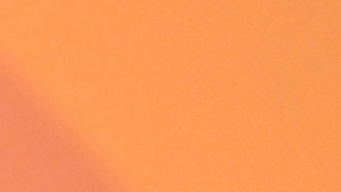 La gira de Rosalía comenzará en marzo del 2026 y su última fecha está programada para el 3 de septiembre.