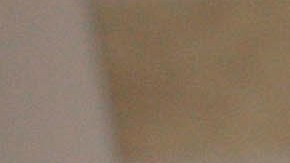 celulares escuelas NY