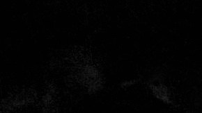 Sophia Loren tiene 91 años.