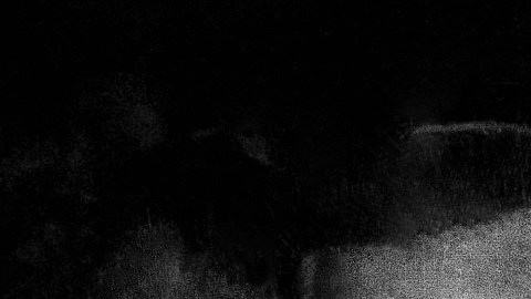 Sophia Loren tiene 91 años.