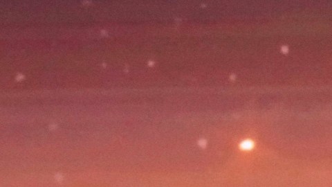 Stephany Abasali, Miss Venezuela 2024, dijo que tuvo problemas con su organización.