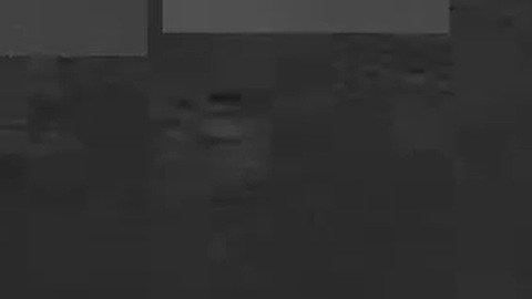 El Comando Sur del Ejército de EE.UU. destruyó dos lanchas en el Pacífico Oriental.