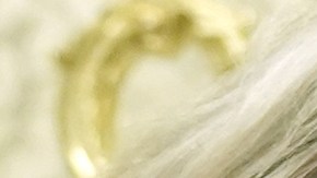 Jefa de gabinete de Trump cuestiona la gestión de la fiscal general Pam Bondi en el caso Jeffrey Epstein