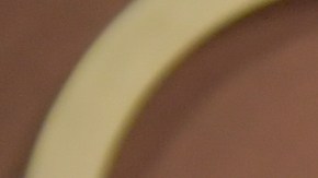 Sydney Sweeney se quedó en la mansión que compró el año pasado.