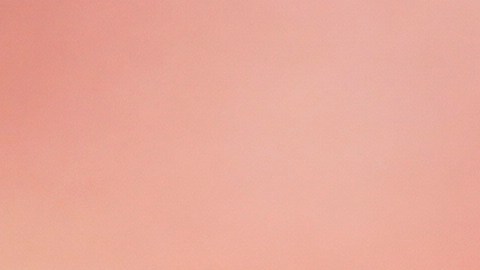 La boda de Taylor Swift será la más esperaba de 2026.