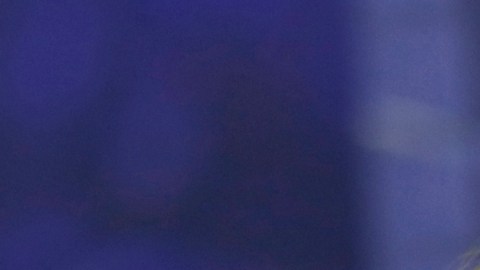 Tekashi 6ix9ine, rapero estadounidense.