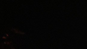 Ideal para disfrutar en familia o con amigos, celebrando la vida silvestre a través de experiencias inmersivas de luz