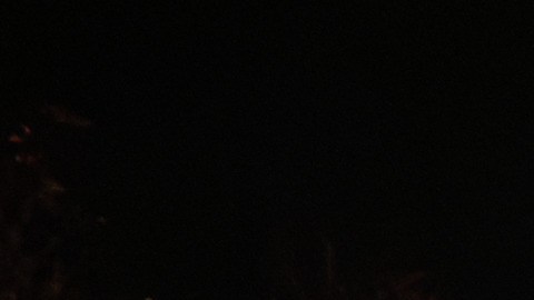 Ideal para disfrutar en familia o con amigos, celebrando la vida silvestre a través de experiencias inmersivas de luz