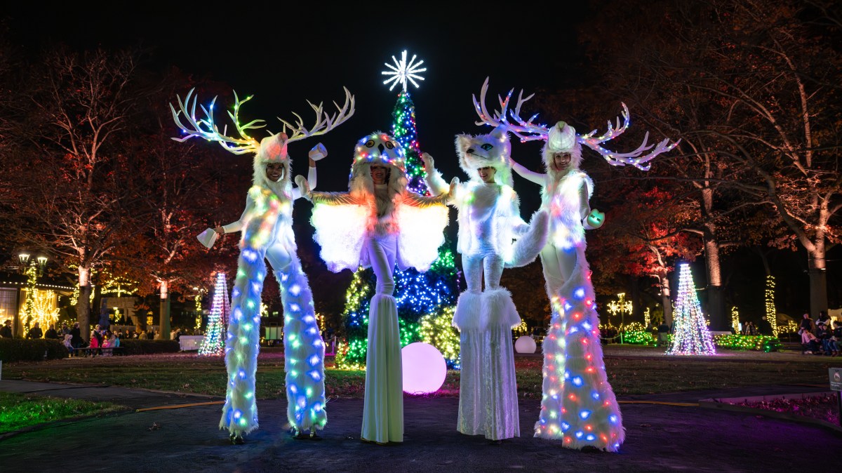 Agenda de eventos: qué hacer en Nueva York del 18 al 24 de diciembre