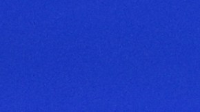 Volodímir Zelenski viaja para reunirse con Trump: cree que será muy importante