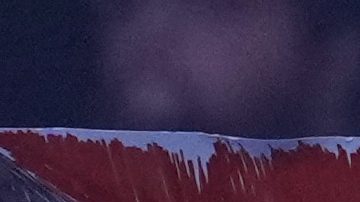 Fans en evento de la WWE.