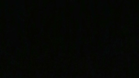 Wendy Guevara, creadora mexicana de contenido y ganadora de La Casa de los Famosos México.