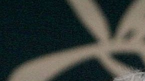 Woody Allen ha sido acusado de abuso sexual por parte de su hija Dylan Farrow