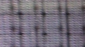 Ximena Navarrete, Miss Universo 2010.