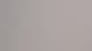 Shane es descrito como un hombre blanco calvo, de 1.75 metros de altura.