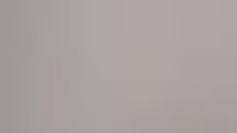 Shane es descrito como un hombre blanco calvo, de 1.75 metros de altura.