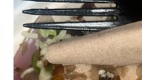 Supuesto roedor hallado en pedido de comida en Nueva York.