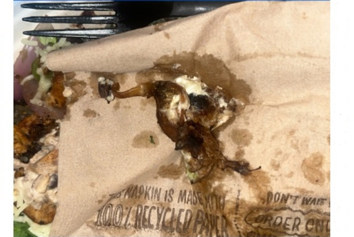 Mujer demanda a Chipotle y DoorDash diciendo que mordió un ratón al ordenar un burrito en Nueva York