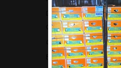 Imágenes de la DEA del decomiso de metanfetamina en Nueva York.