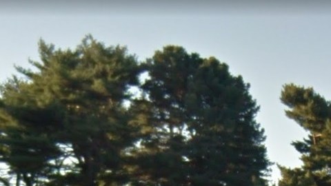 New York Botanical Garden, El Bronx.