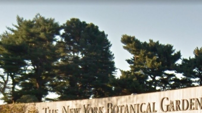 New York Botanical Garden, El Bronx.