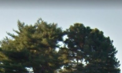 New York Botanical Garden, El Bronx.