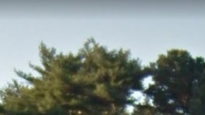 New York Botanical Garden, El Bronx.