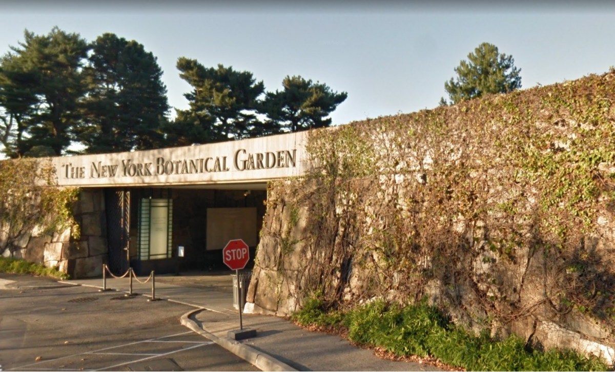 Hispana anciana hallada muerta semi vestida afuera del New York Botanical Garden: misterio policial
