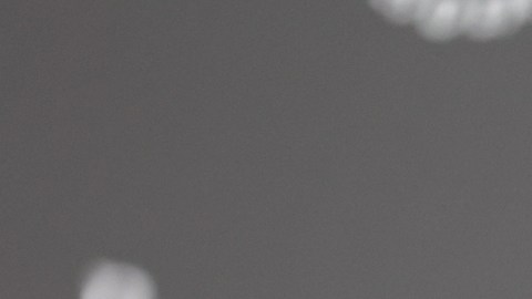 Aislinn Derbez compartir con sus seguidores cómo ha comenzado a transitar su proceso de duelo.