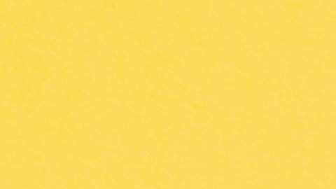 Alimentos como el aguacate y la avena están cargados de zinc, magnesio y potasio,ideales para tu bienestar mental y físico.